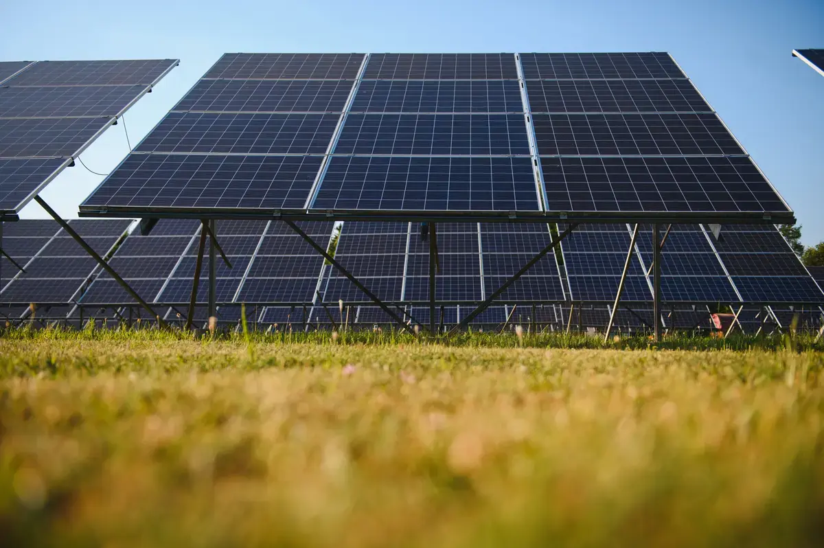 Campo de paneles fotovoltaicos bajo el sol de la comarca de Ciudad Real